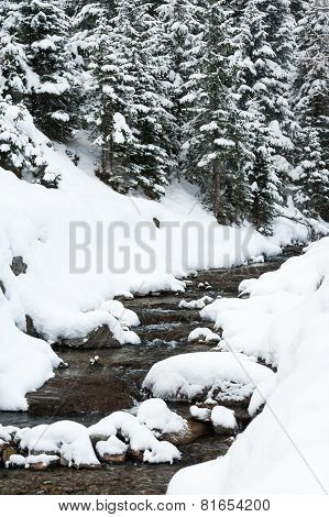 Winter scenery