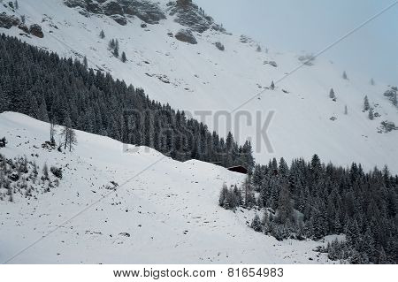 Winter scenery