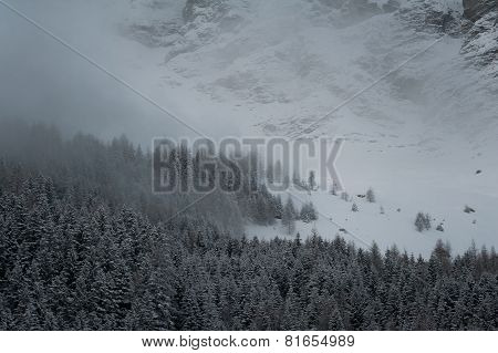 Winter scenery