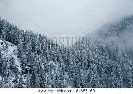 Winter scenery