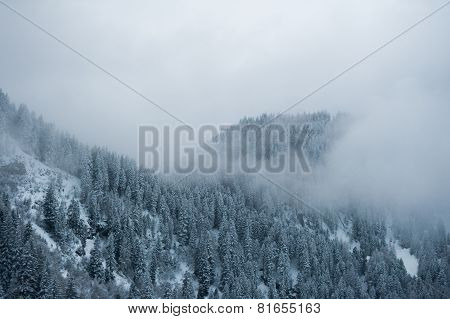 Winter scenery