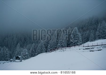 Winter scenery