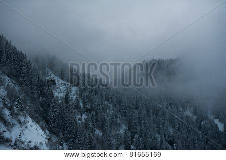 Winter scenery