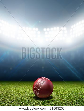 Cricket Stadium And Ball