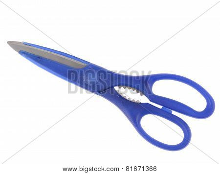 Blue Itchen Scissors