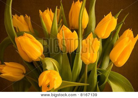 Bukiet żółtych tulipanów