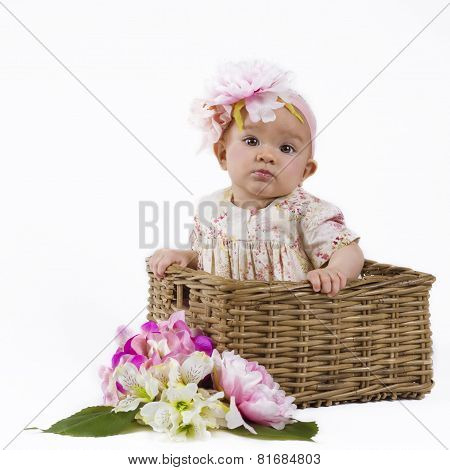Beautiful Baby Girl In A Basket