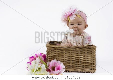 Beautiful Baby Girl In A Basket