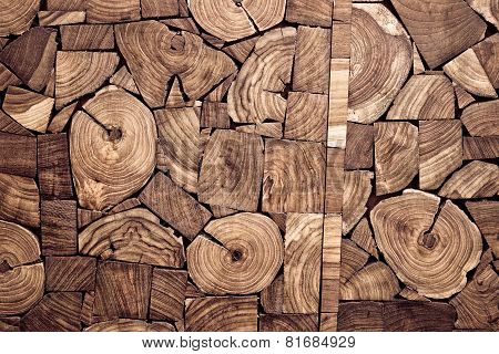 wood stump background