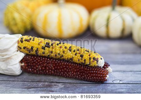 Corn husks on wooden floor