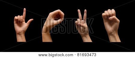 Love Sign