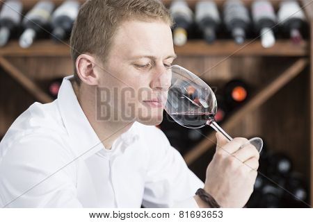 Young Man Smelling A Glass Of Red Wine.