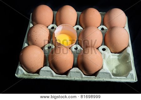 eggs