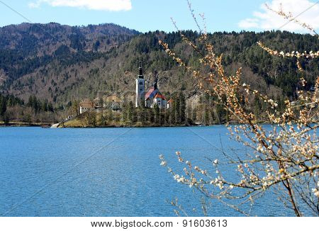 Church On The Island Of Lake Bled In Slovenia