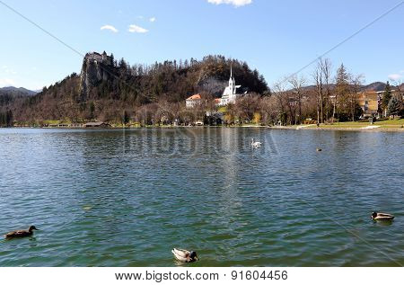 Church With Bell Tower On The Shore Of Lake Bled