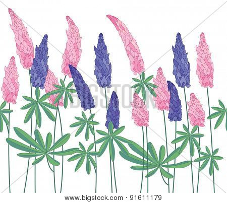 Seamless pattern brush with lupinus. Endless horizontal texture  for your design, greeting cards, announcements, posters. 