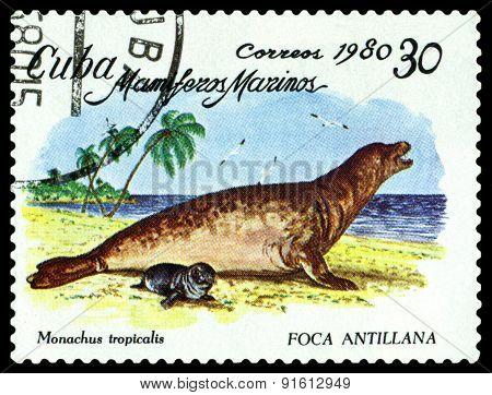 Vintage  Postage Stamp. Caribbean Monk Seal.