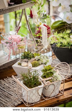 Garden decoration with wildflowers and succulents in shabby chic style
