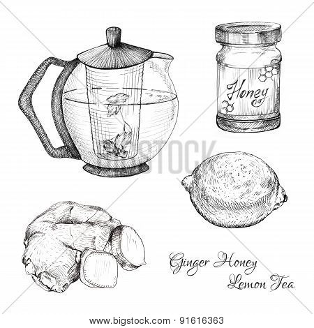 Ginger honey lemon tea ink sketches set