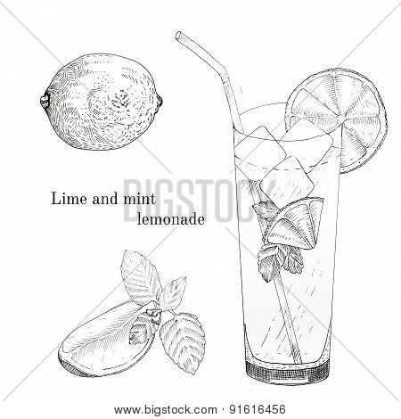 Lime and mint lemonade ink sketch set