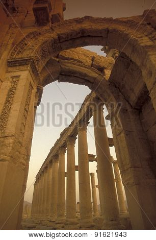 Syria Palmyra Roman Ruins