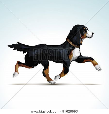 Vector Labrador Retriever Dog