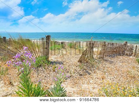 Alghero Shoreline On A Unny Summer Day
