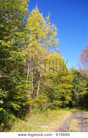 Herbst Lane