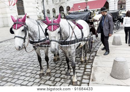 Horse Drawn Carriage Michaelerplatz