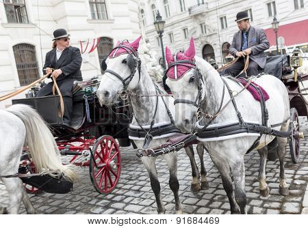 Horse Drawn Carriage Michaelerplatz