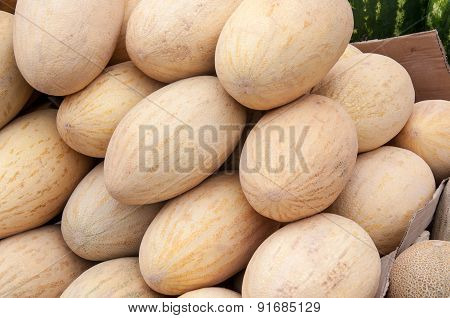 Melon Sold At The Bazaar