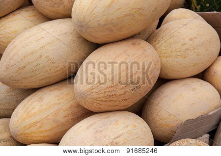 Melon Sold At The Bazaar