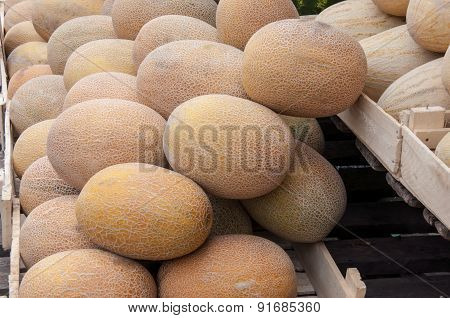 Melon Sold At The Bazaar