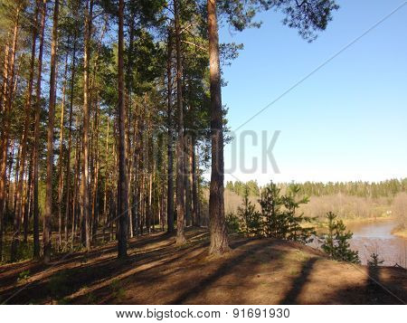 Riwer with broun water