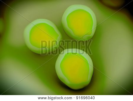 superbug or Staphylococcus aureus (MRSA) bacteria