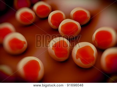 superbug or Staphylococcus aureus (MRSA) bacteria
