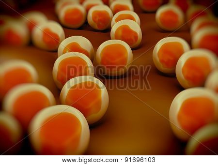 superbug or Staphylococcus aureus (MRSA) bacteria