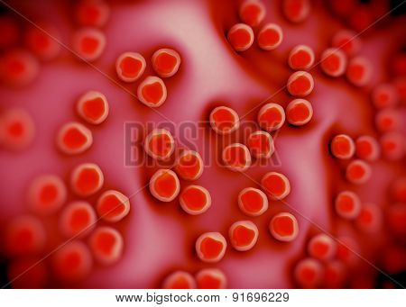superbug or Staphylococcus aureus (MRSA) bacteria