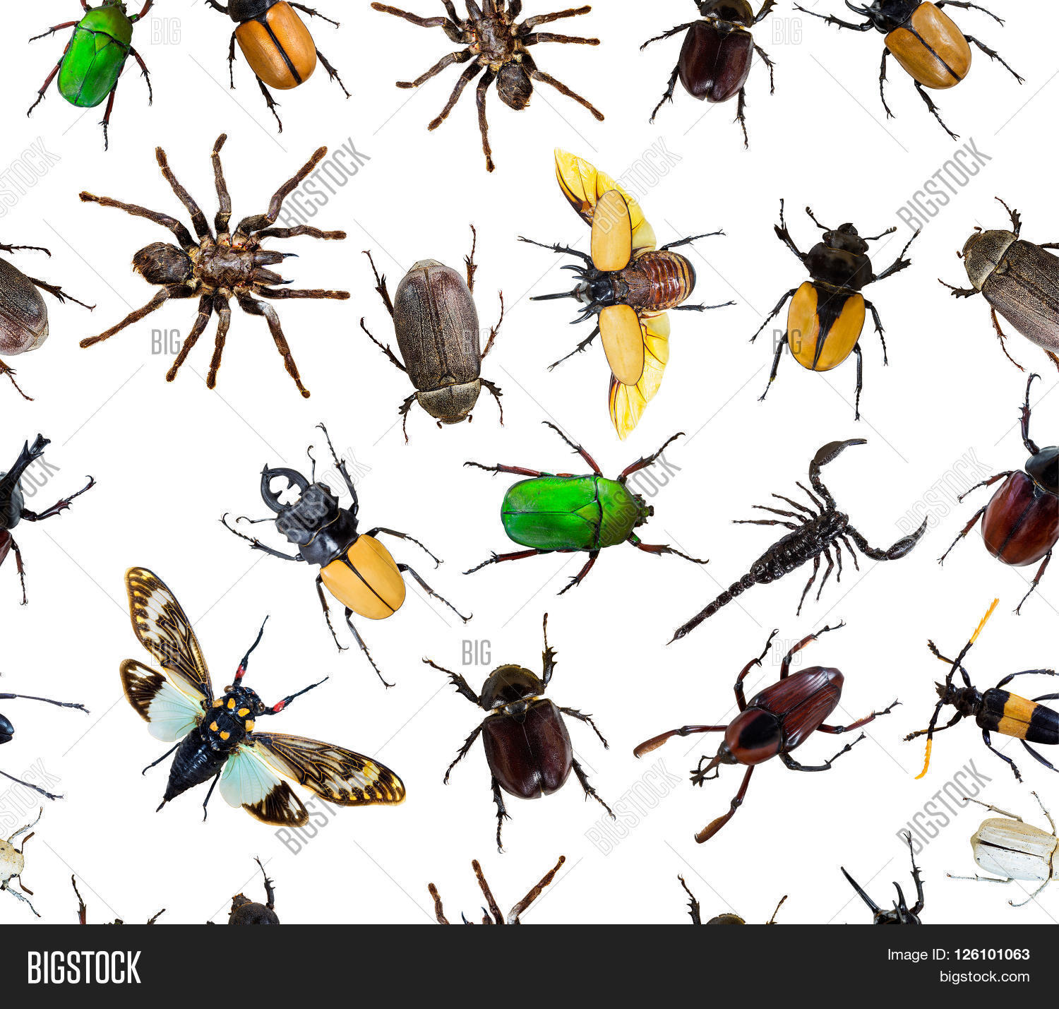 Small Patterns Bug Seamless Bug Pattern Image & Photo (Free Trial) | Bigstock