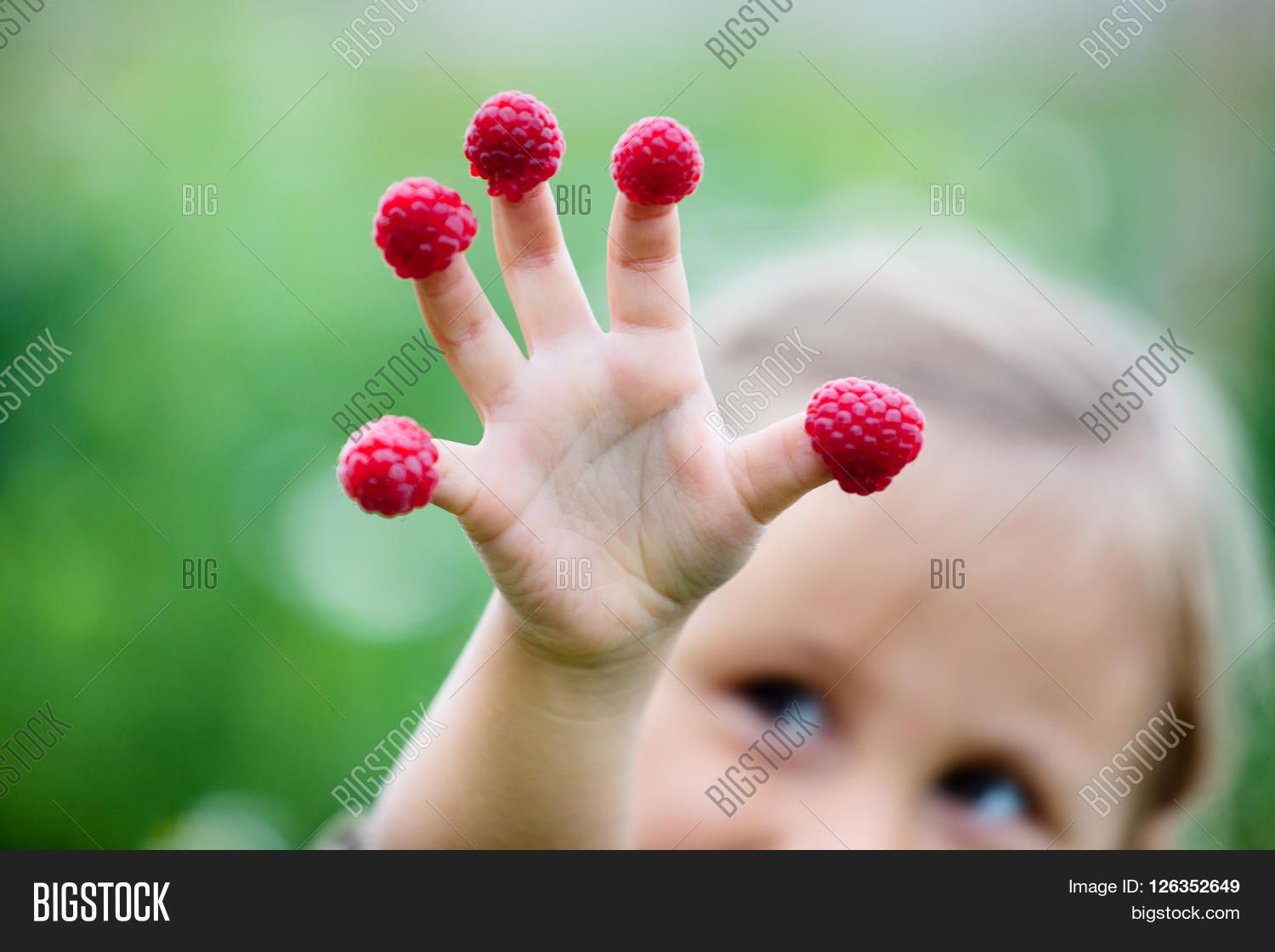 Child's Hand Raspberry Image & Photo (Free Trial) | Bigstock