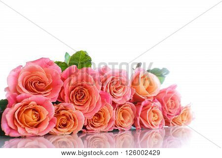 bouquet of pink roses isolated on white