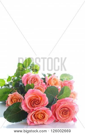 bouquet of pink roses isolated on white