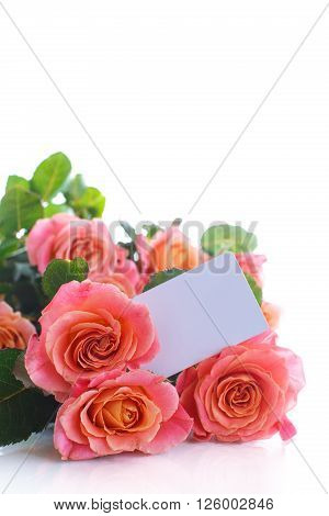 bouquet of pink roses isolated on white