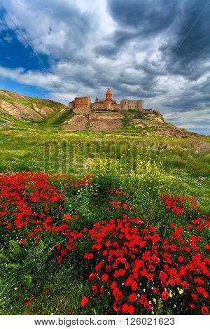 The Armenian Christian monastery of Khor Virap and red color in the green grass.