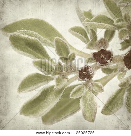 Textured Old Paper Background