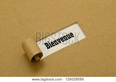 French Word Bienvenue (Welcome) written under torn paper.