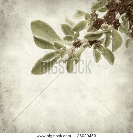 Textured Old Paper Background