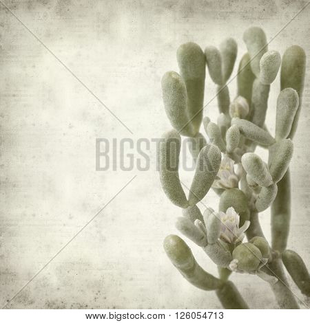 Textured Old Paper Background