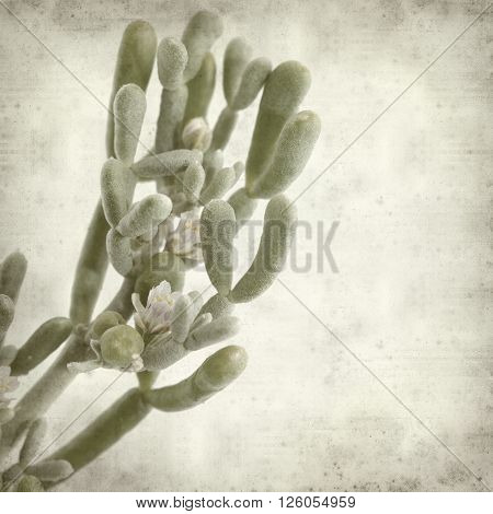 Textured Old Paper Background