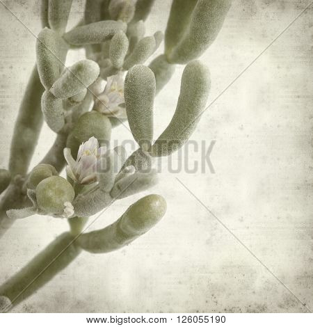 Textured Old Paper Background